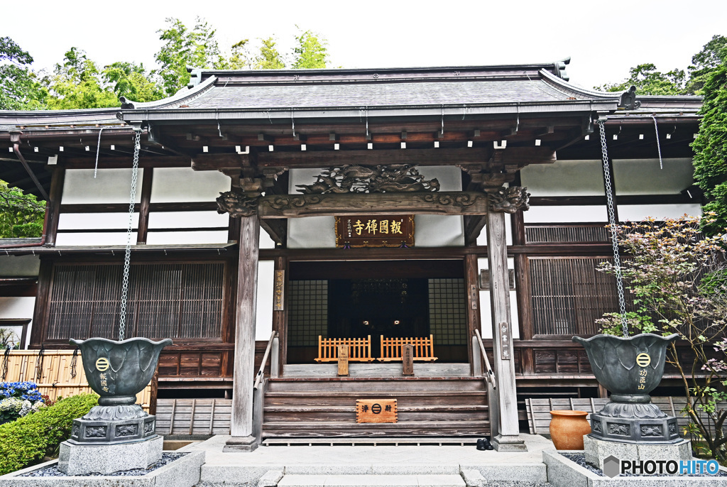 鎌倉の竹寺　報国寺