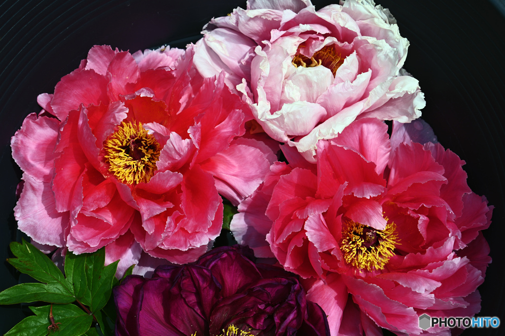 ボタンはいかがでしょうか