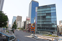 散歩の途中で