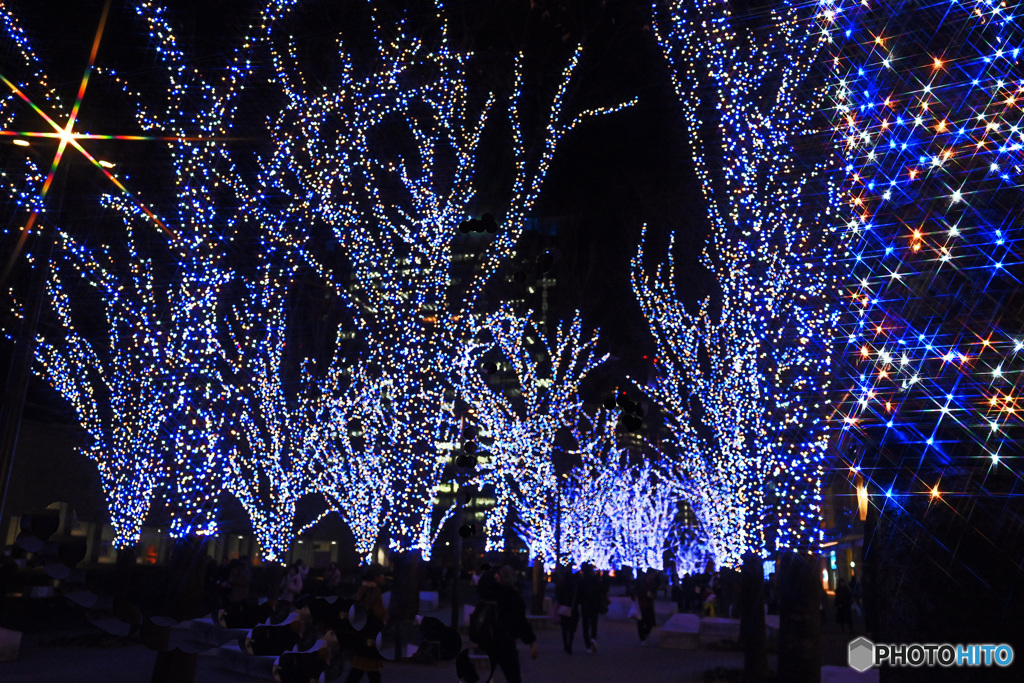 横浜美術館前通り