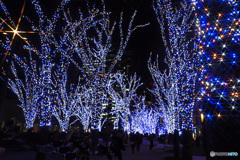 横浜美術館前通り