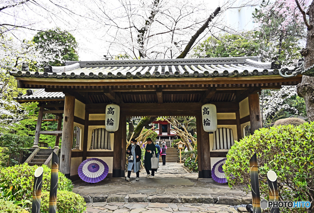 高輪日本庭園