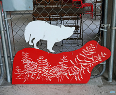 街のスナップ～ニャンコちゃん