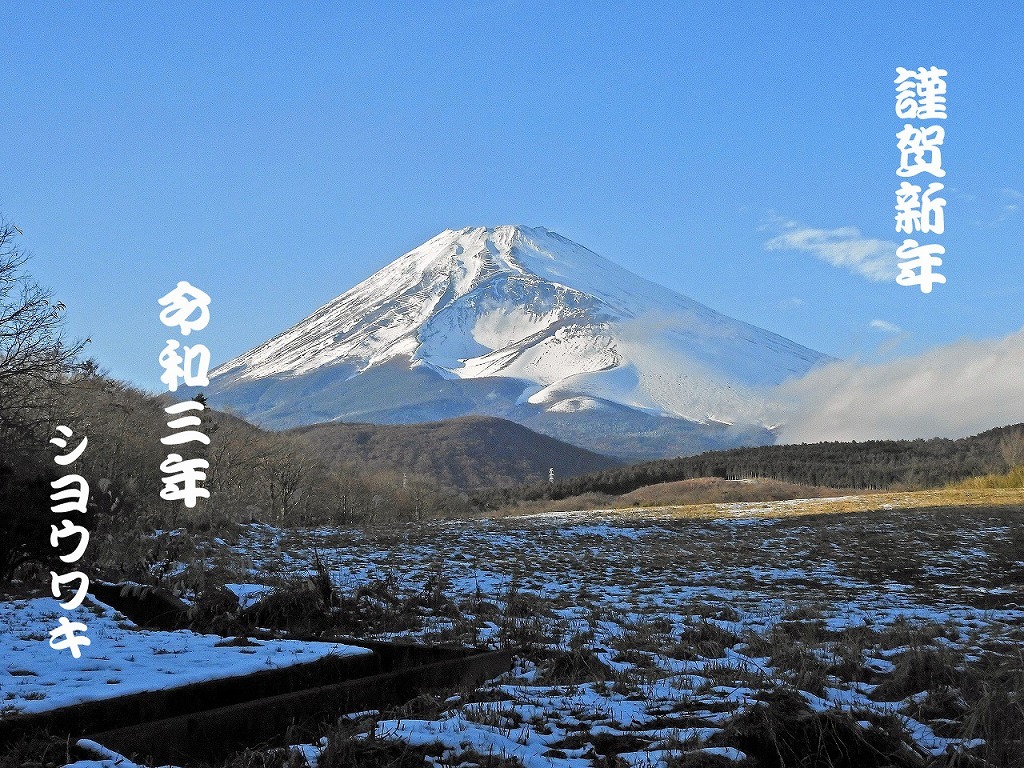 謹賀新年