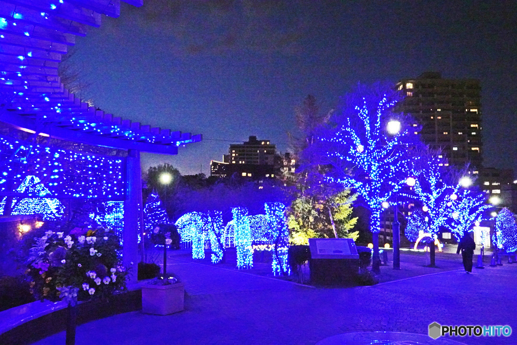 アメリカ山のイルミネーション