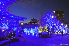 アメリカ山のイルミネーション