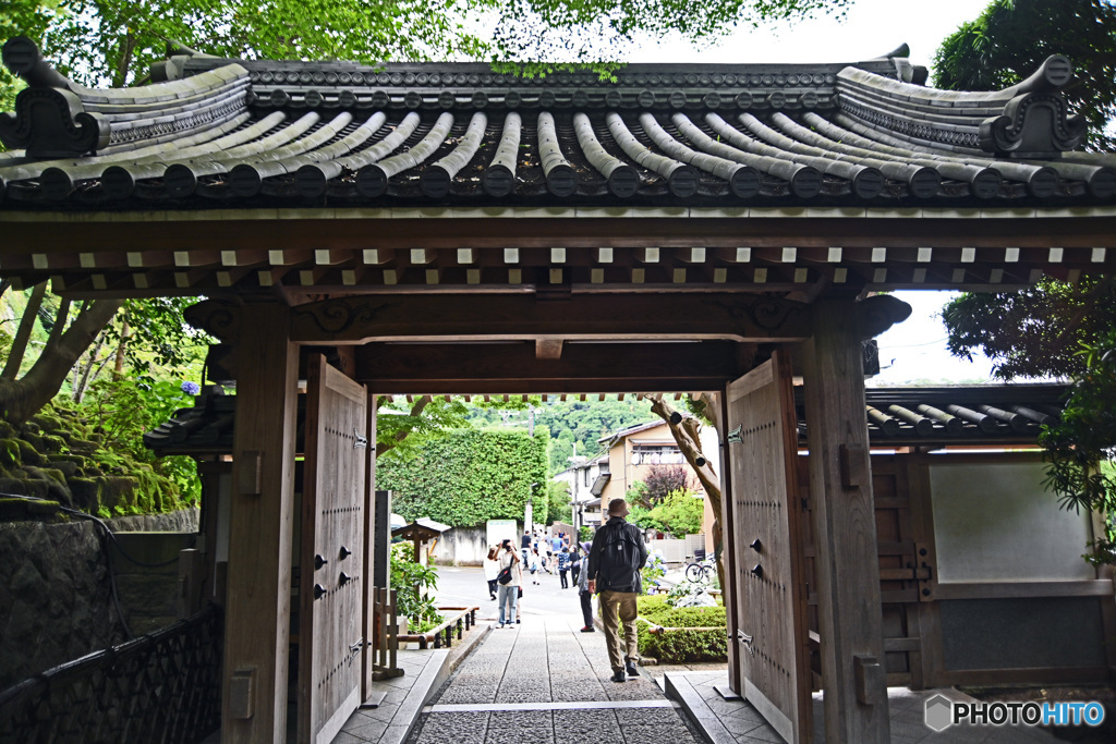 鎌倉の竹寺　報国寺