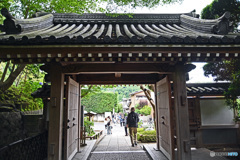 鎌倉の竹寺　報国寺