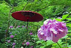 赤い傘のある風景