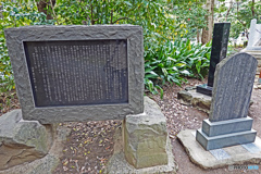 横浜市立富岡総合公園