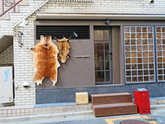 裏通り店先スナップ