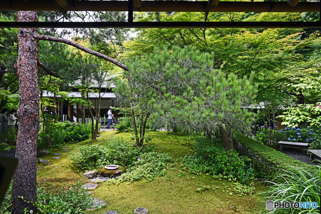 一条恵観山荘　庭園の部