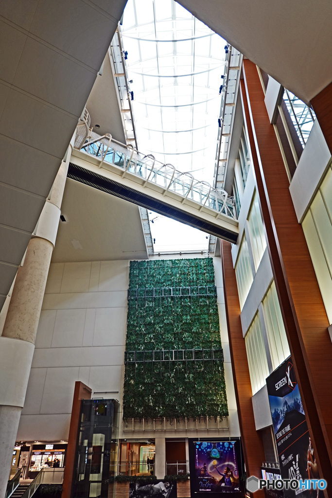 お台場スナップ