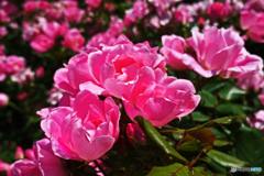 山下公園にて
