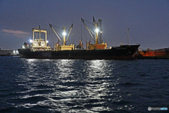 工場夜景　運河めぐり