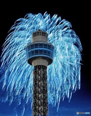 ブルーライトヨコハマ～～