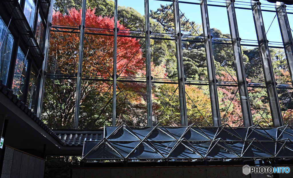 ホテル雅叙園東京