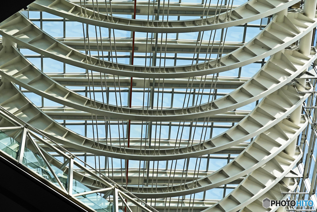 国際フォーラム