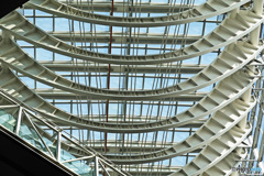 国際フォーラム