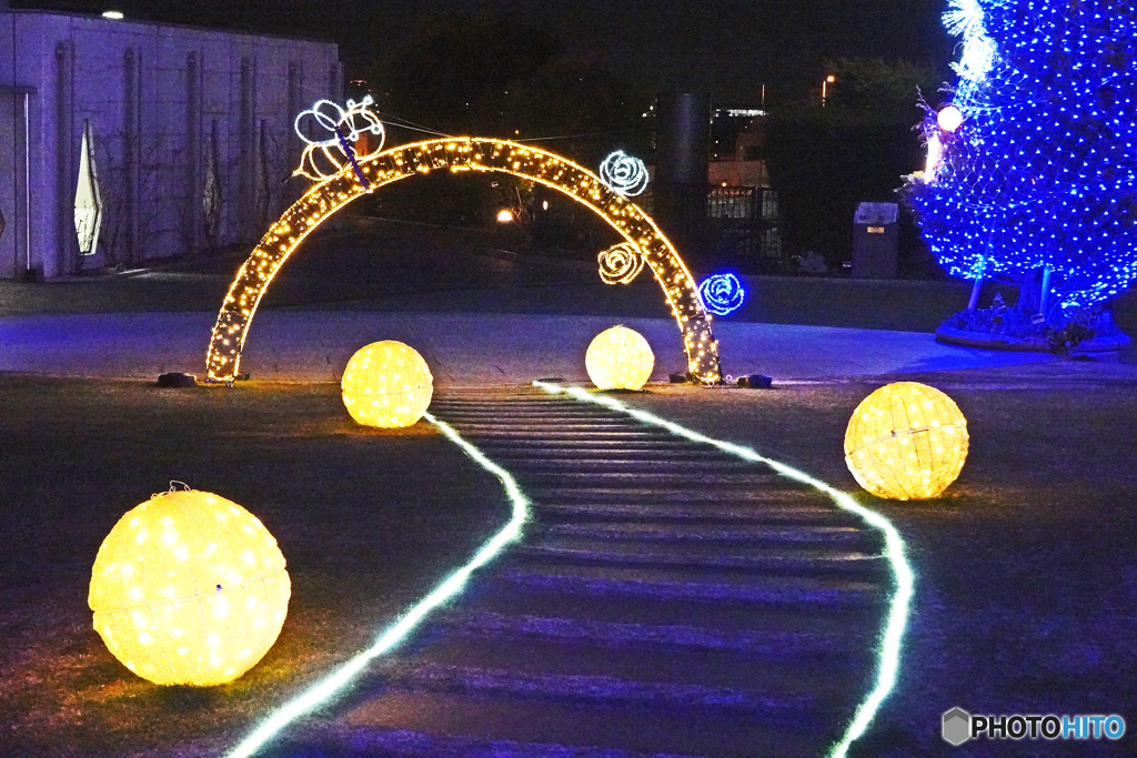 アメリカ山のイルミネーション