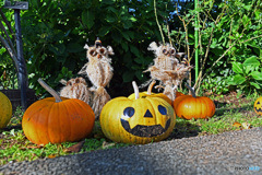 横浜山手西洋館ハロウィン2021