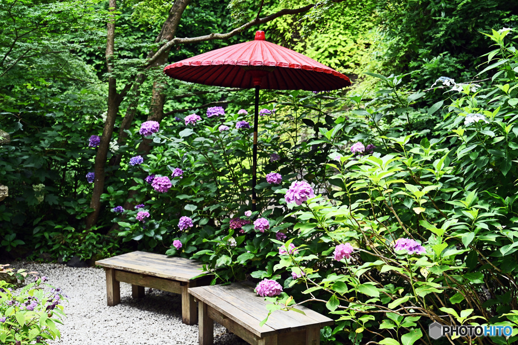 赤い傘のある風景3