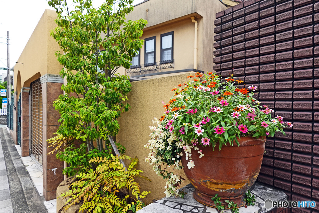 山手通りスナップ