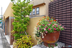 山手通りスナップ