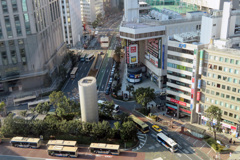 ヨコハマ屋上庭園。5