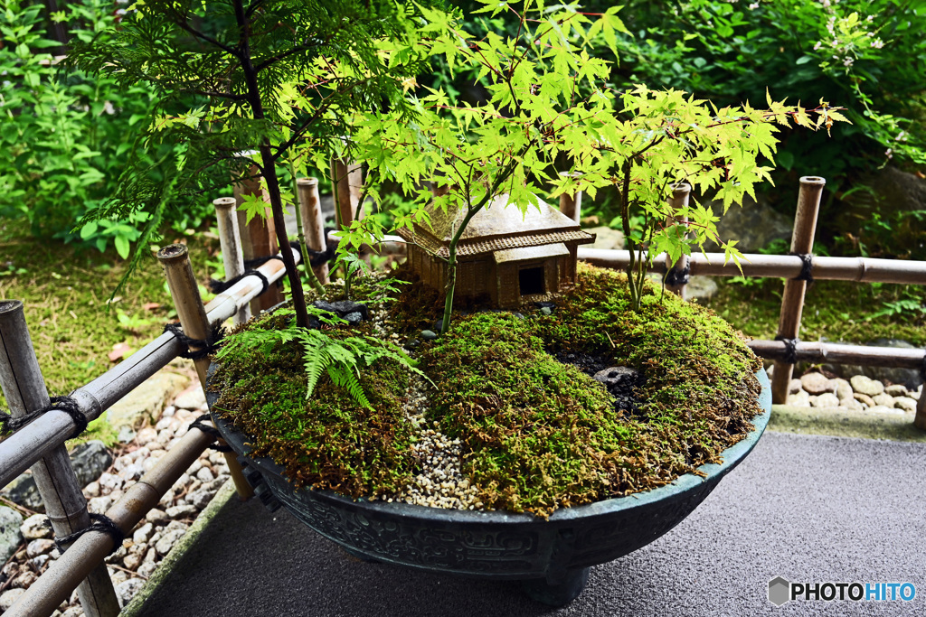 一条恵観山荘　庭園の部
