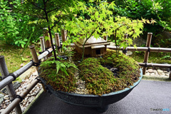 一条恵観山荘　庭園の部