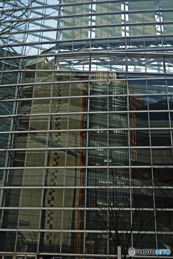 国際フォーラム