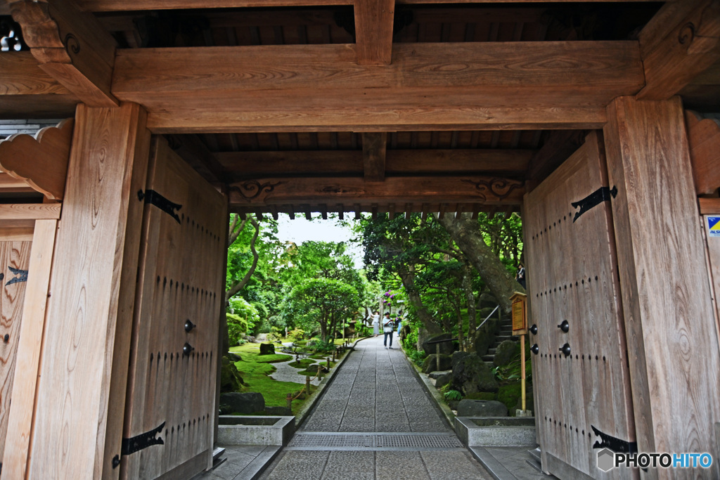 鎌倉の竹寺　報国寺