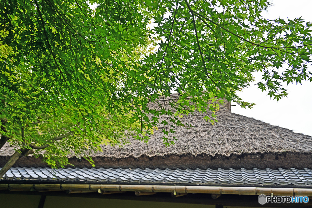 一条恵観山荘