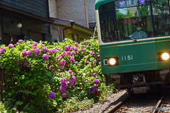 お馴染みの場所です