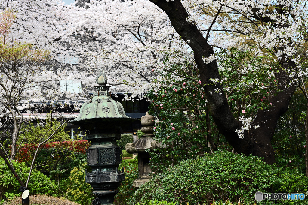 高輪日本庭園