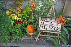 横浜山手西洋館HALLOWEEN