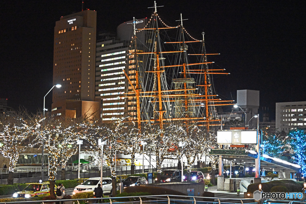 夜の日本丸を見る