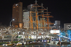 夜の日本丸を見る