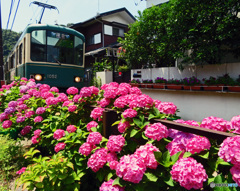 お馴染みの場所です