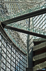 国際フォーラム