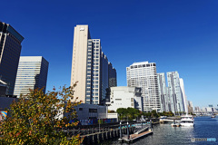 天王洲スナップ