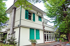 山手通りスナップ