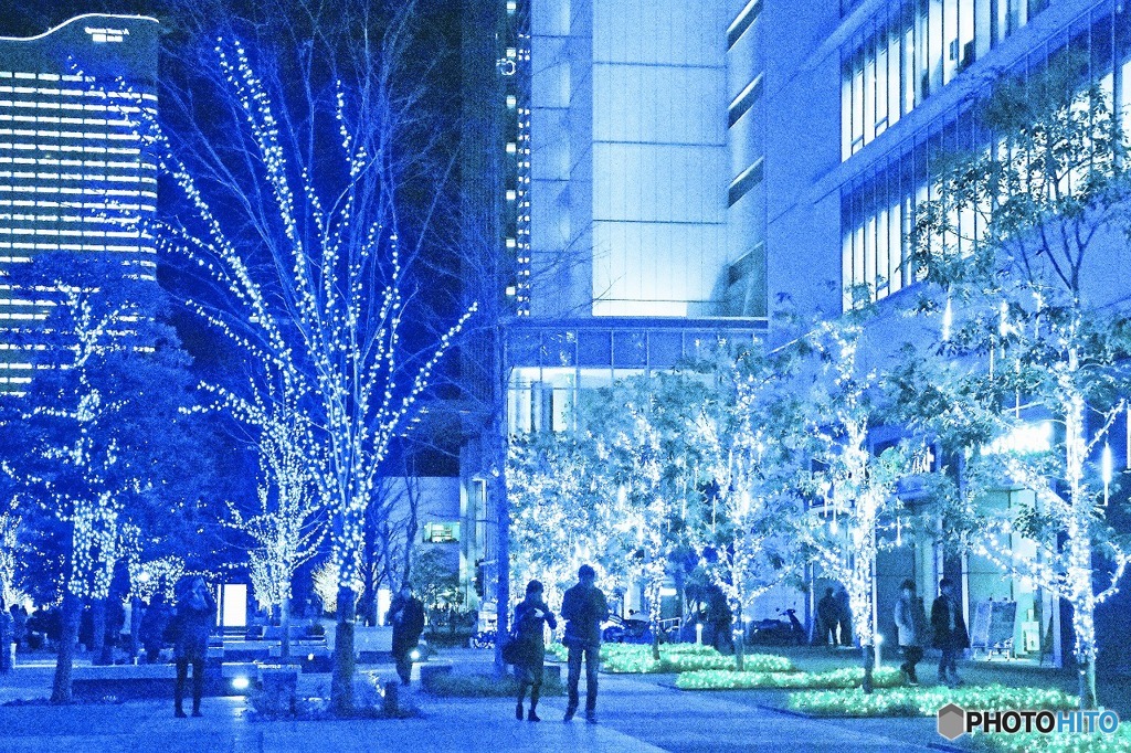 ブルーライトヨコハマ