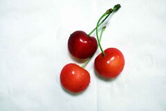 佐藤錦が美味しかった