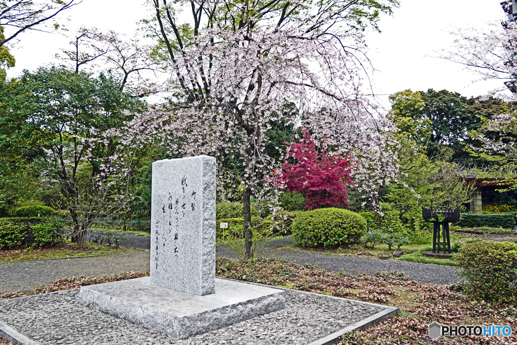 千鳥ヶ淵戦没者墓苑にて