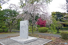 千鳥ヶ淵戦没者墓苑にて