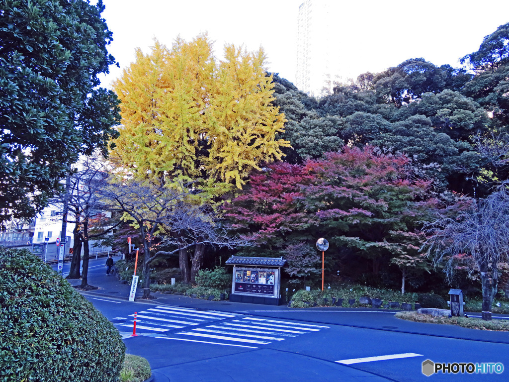 ホテル雅叙園東京