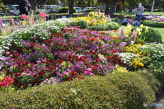 山下公園花壇