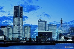 ブルーライトヨコハマ